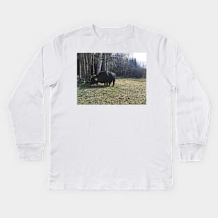 Scottish Highland Cattle Bull 2371 Kids Long Sleeve T-Shirt